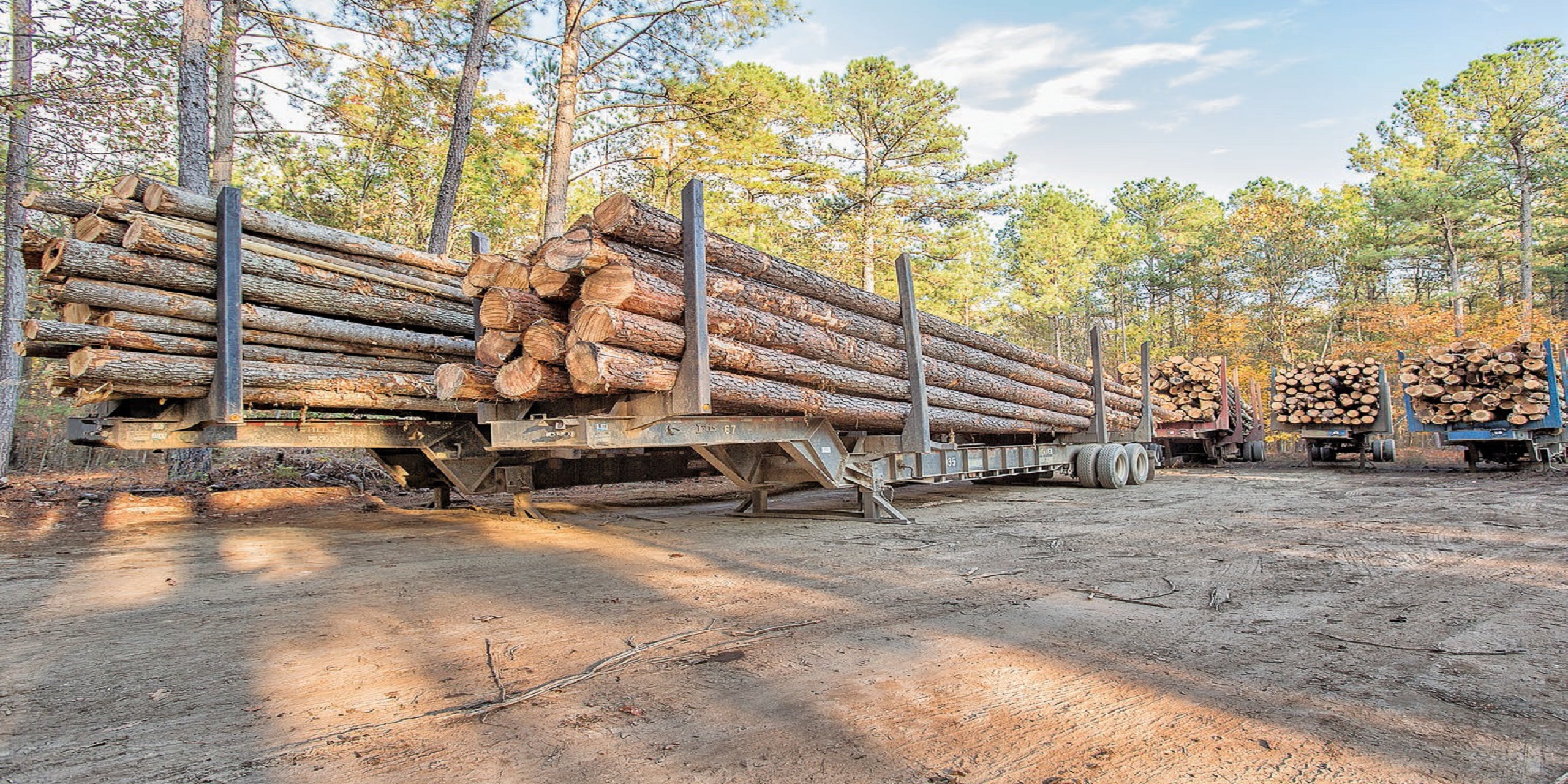 Shamco lumber services staff photo